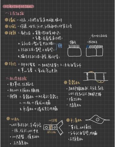 林思妤 - 高中生物筆記
