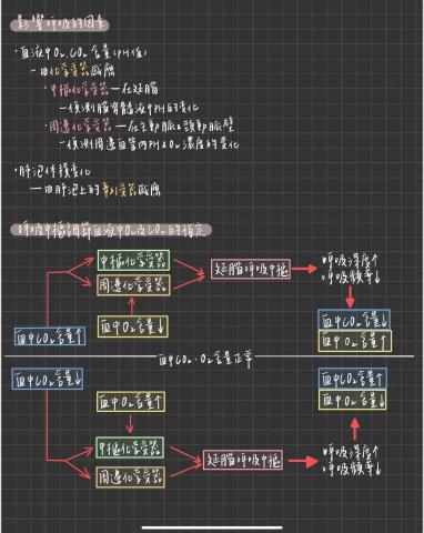 林思妤 - 高中生物筆記