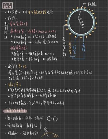 林思妤 - 高中生物筆記