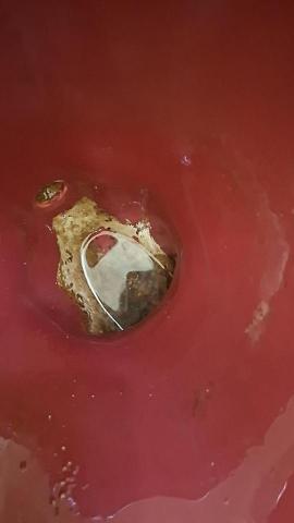 柚子清潔工作室 - 1／10空屋清潔，廁所馬桶結石