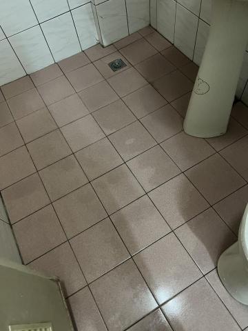 高偉傑 - 清理施作後的環境恢復