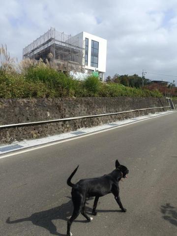 LG - 陪伴出遠門需要照顧寶貝