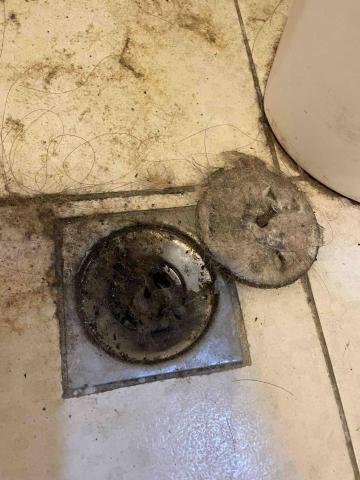 曾小姐（專做清潔、收納、搬家打包） - 