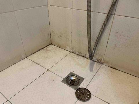 曾小姐（專做清潔、收納、搬家打包） - 