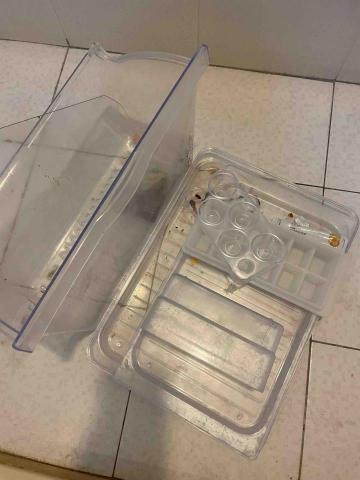 曾小姐（專做清潔、收納、搬家打包） - 