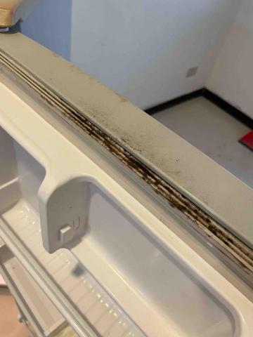 曾小姐（專做清潔、收納、搬家打包） - 