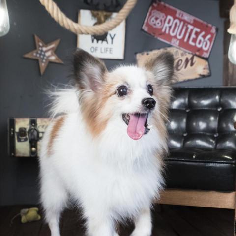 提供報告格式範本服務的專家Yun