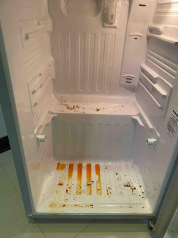 曾小姐（專做清潔、收納、搬家打包） - 