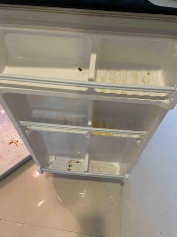 曾小姐（專做清潔、收納、搬家打包） - 