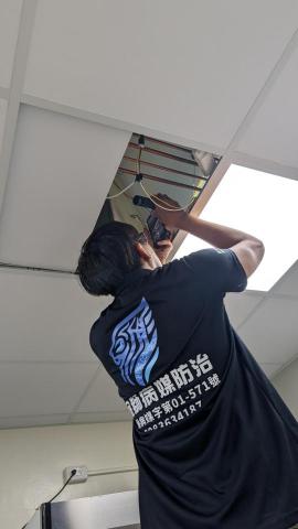 金獅病媒防治 有限公司