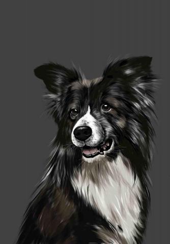 吳虹臻 - Procreate 