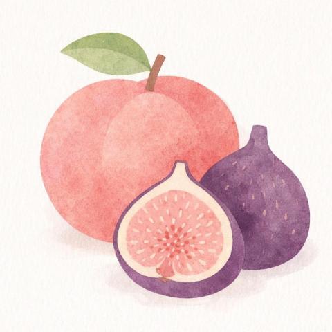 提供粗工支援服務的專家Ya-Yin Lin