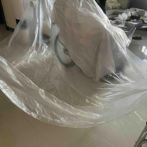 髮現真我 - 淡水到府照護理髮專家 - 防護細節2