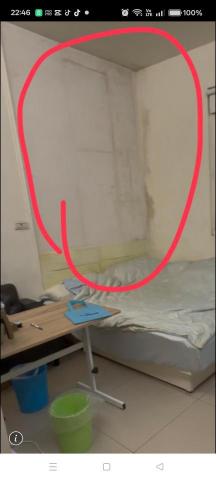 許加寶 - 需清除壁紙與殘膠批土油漆