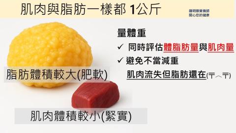 鍾明臻 - 社交媒體宣傳圖片設計
體態組成與減脂保肌觀念說明示意