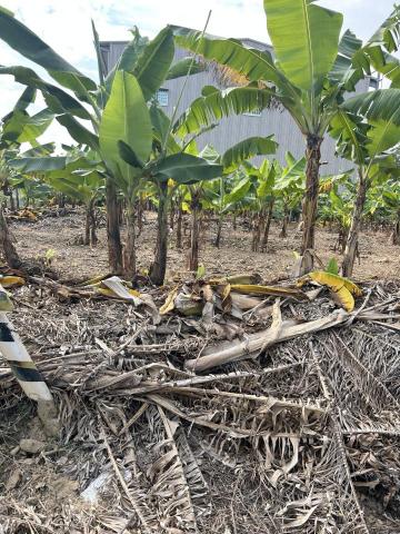 德鉦地政士事務所 - 農地現場堪查