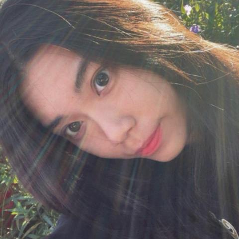 提供介紹台中英文作文服務的專家楊芝華