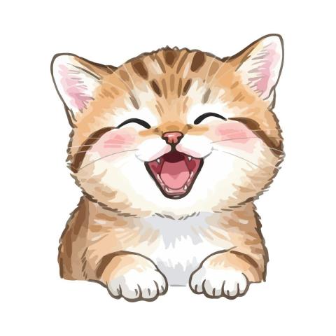 提供n4題庫服務的專家MathBridge