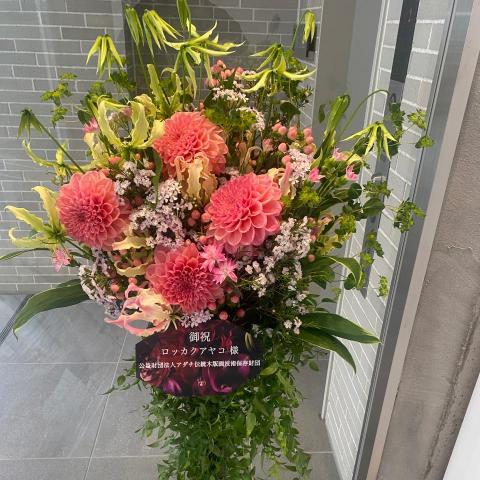 提供金服務的專家金頭腦