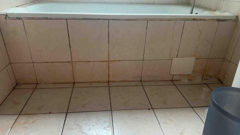 林伶姿 天淨管家督導 - 廁所除霉前