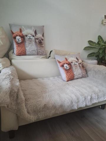 水月芳療療癒空間 - 虎尾放鬆空間入門的樣子