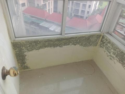 景潁防水油漆噴塗裝工程 - 牆窗邊滲水舊漆面磨除