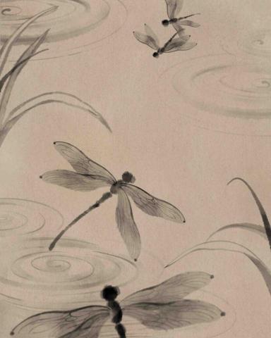 Dawn Liu Creative Studio 設計工作室 - 原創插畫作品