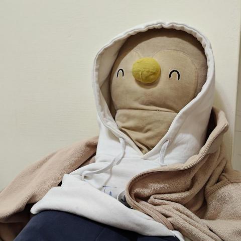 提供健美服務的專家葉柏均