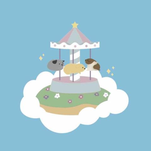 提供黏土服務的專家夢之島藝術工作室