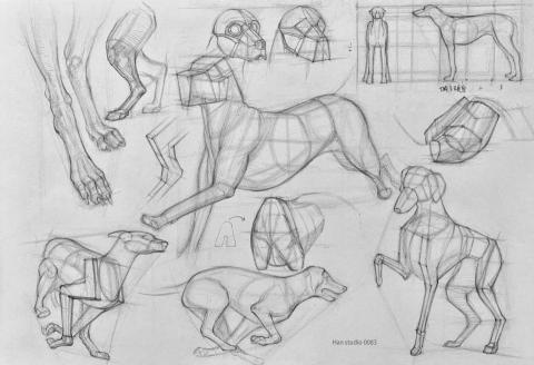 Han studio  邱柏翰 - 這張是奔跑的狗的結構分析，
重點在於如何用簡單體塊，
把複雜的動作畫清楚

如果你畫動物時常覺得姿勢怪怪的，
課程可以直接幫你拆解問題

歡迎私訊我了解上課方式