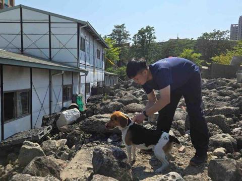 富 - 瓦礫堆搜索