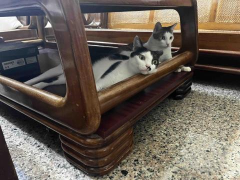 康文慈 - 家裡的小屁孩