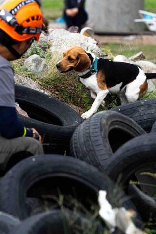 富 - 障礙突破訓練