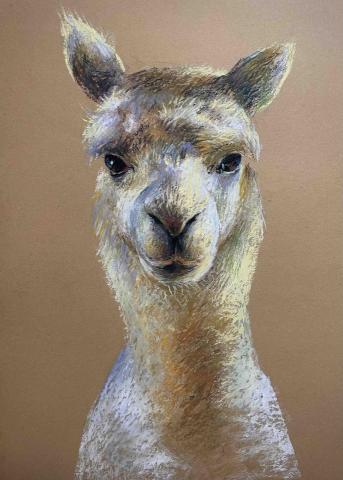 王中亭 - 油畫棒作品