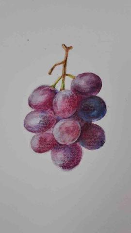 Liberty Land自由之境藝術工作室 - 中國附醫樂齡色鉛筆課程學生作品