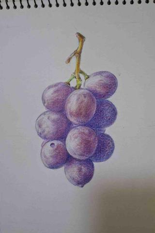 Liberty Land自由之境藝術工作室 - 中國附醫樂齡色鉛筆課程學生作品