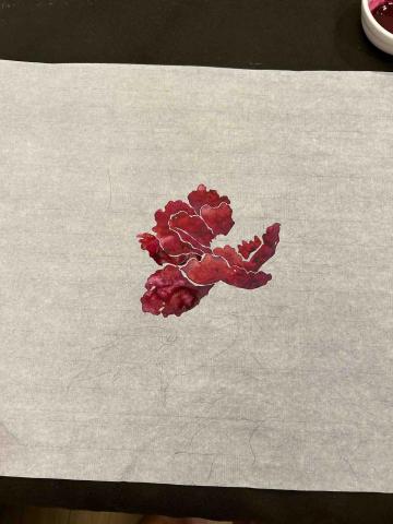 張碩言 - 花朵撞色