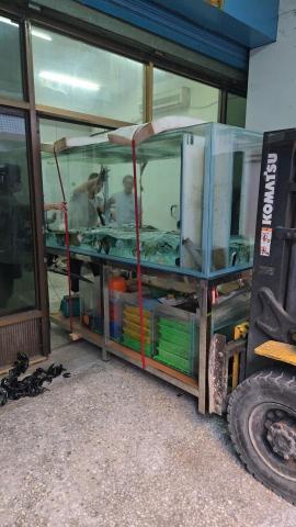 高文郁 - 七尺魚缸配合堆高機
搬運上車