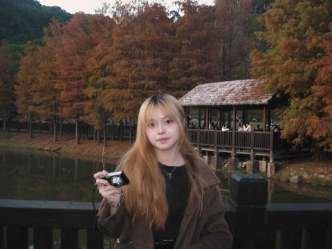 台北中正區打字排版專家推薦張晴雅