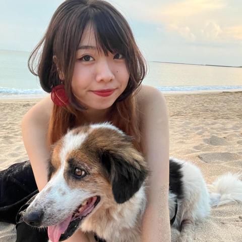 提供澎湖衝浪服務的專家Arggie