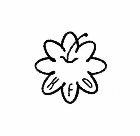 提供吉祥服務的專家空夫島 Kongfu Dao