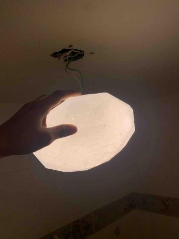 林紘緯(工具人) - 