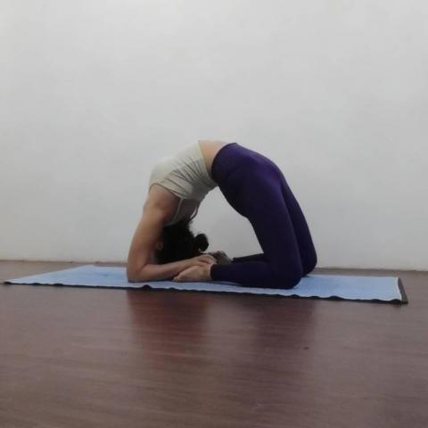 空中環老師推薦頤煉工作室 -瑜珈企業包班,私人到府教學