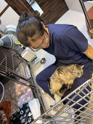 朱玉權（毛孩保姆） - 