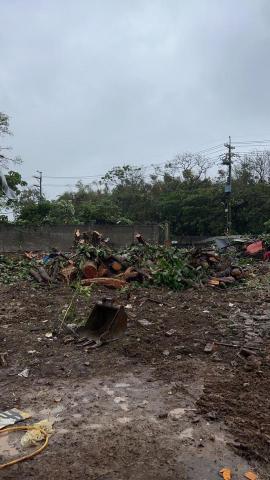 德祥企業 - 伐木整地施作