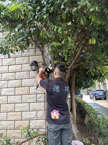 德祥企業 - 家庭園藝維護