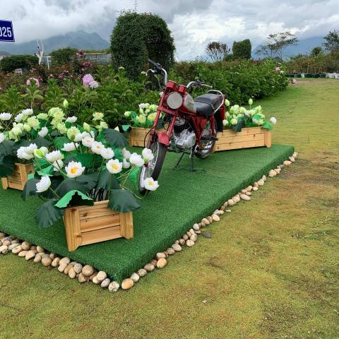 提供113學測數學服務的專家蕭宇宣