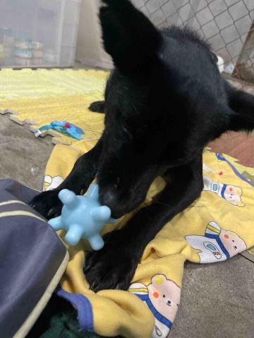 馬衣嫺 - 陪5000玩玩具