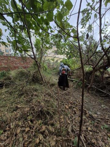 德祥企業 - 除草