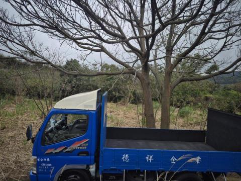 德祥企業 - 除草施作